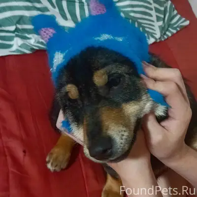 Пропала девочка Николь, район Черёмушки