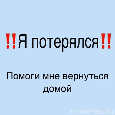 Пропала собака Дора, район тц Монгора