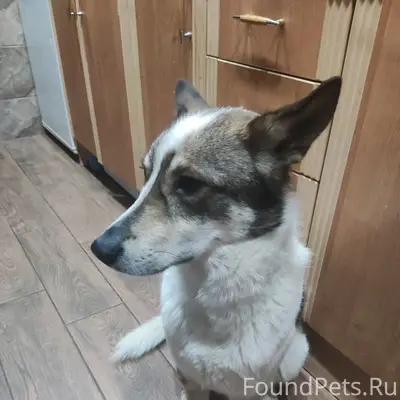 Пропал Бруно, Западный район