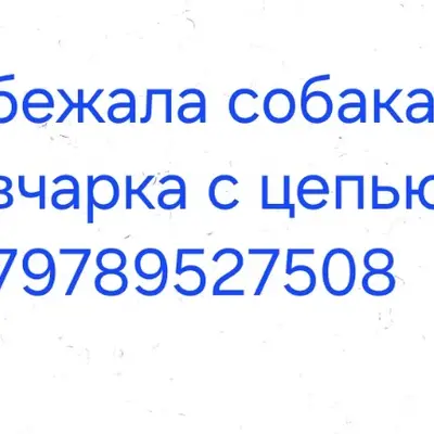 Пропала овчарка, девочка