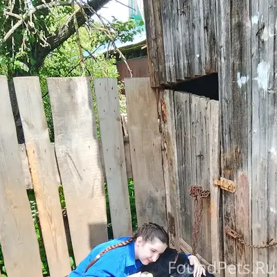 Пропал Яшка, район магазина Пегас