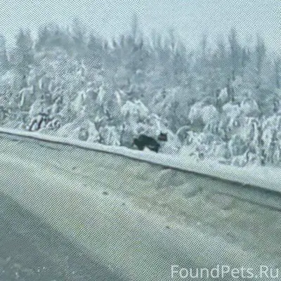 Оленегорск- Мурманск. Кто поте...