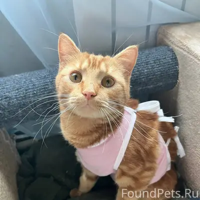 В ночь с 6 на 7...