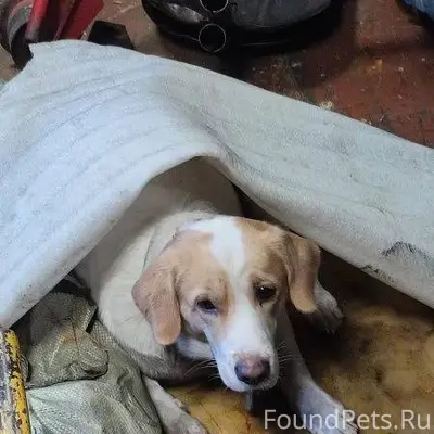 30 янв. На жд путях была...