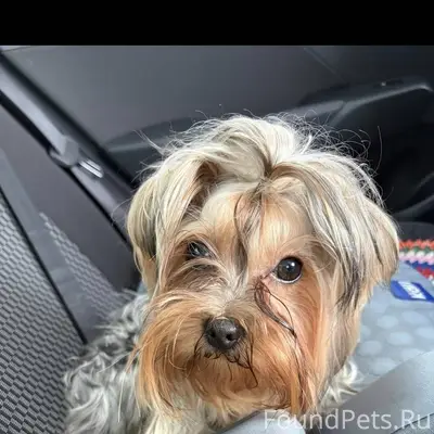 В микрорайоне ,, Солнечный 2 ф...