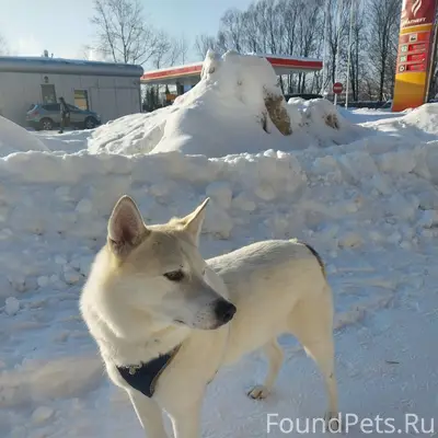 ❗️❗️❗️❗️❗️❗️❗️❗️❗️❗️❗️❗️❗️❗️❗️...