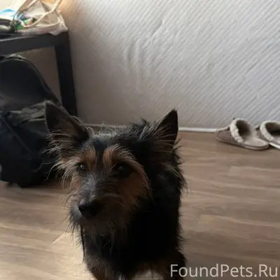 Дорогие жители, Нашли малыша н...