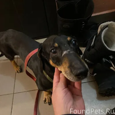 Помогаю информационно . На ул....