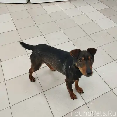 На перекрестке ул. Советская -...