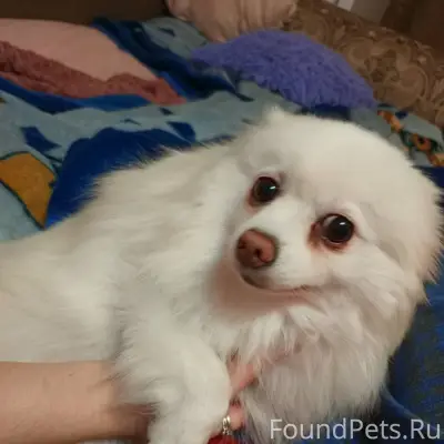 3 февраля (сегодня в 19:25...