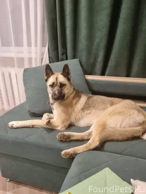 🆘🆘🆘🆘СРОЧНО!!!! ❗❗❗❗Убежали две...