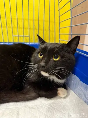 В подвале дома в районе Северо...