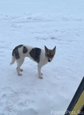 ЖД, татар базар 🆘🆘🆘 Но уже...