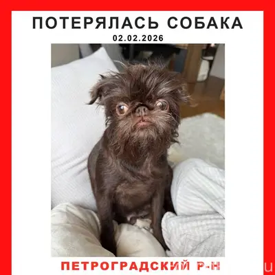 ❗️Петроградский район, СПБ Пот...