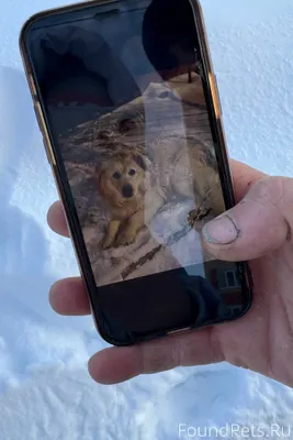 Г. Саранск, юго-запад. Сегодня...