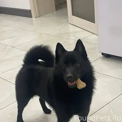 Сегодня в районе центрального ...