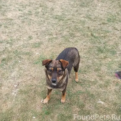 ПОМОГИТЕ НАЙТИ ЖУЛЮ!!! Мы ещё ...