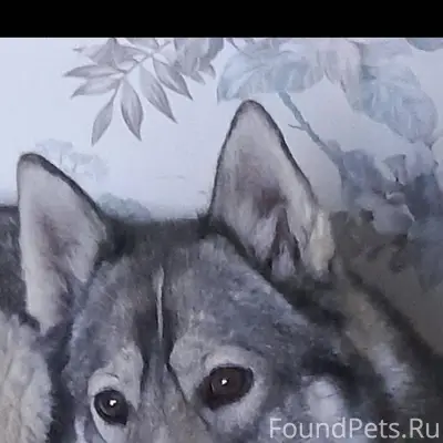 Всем доброго времени суток. Пр...