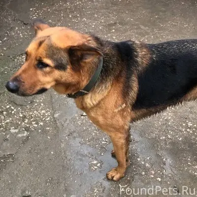 СРОЧНО ‼️ 🚨 КЕРЧЬ ‼️‼️ Взяли.....