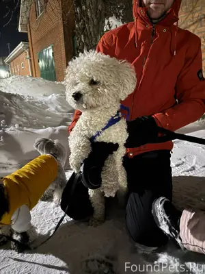 Найдена собака на 1 котельной ...