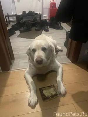 Помогаю информационно Источник...