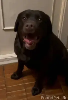 Прошу максимальной огласки и р...