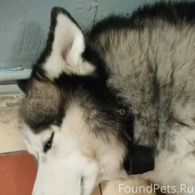 На вокзале г. Конаково второй ...