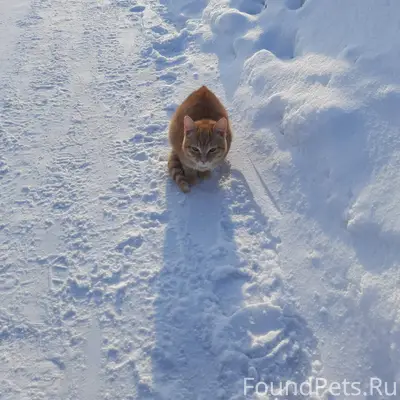 02.02.26 около 15:30...