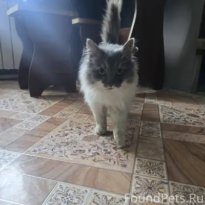 Доброго времени суток. ПРЕБЛУД...