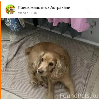 Астрахань!!! Аууууууу.... Найд...