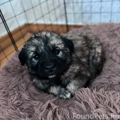 Здравствуйте, опубликуйте пожа...