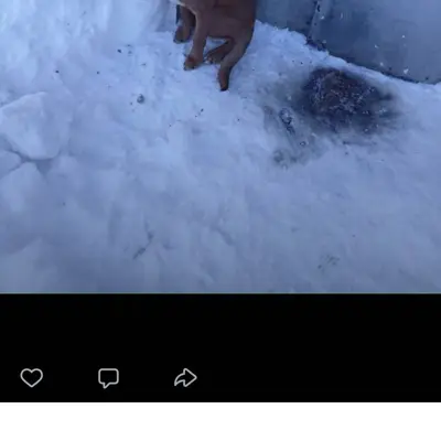 ‼️🚨‼️🚨‼️🚨‼️🚨‼️ Богородицк!!!!!...