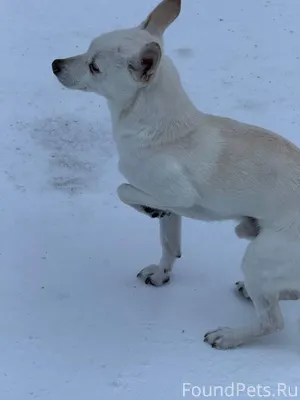 Ревда Из предложки (пост посту...