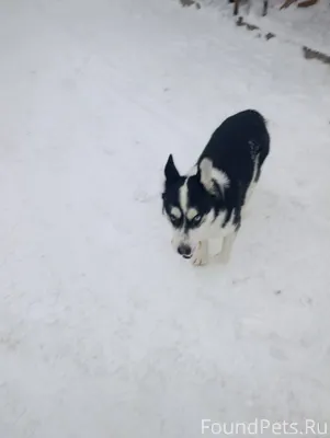 Появился вот такой мальчик в К...