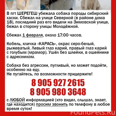 ‼‼ ПОМОГИТЕ НАЙТИ НАШЕГО ДРУГА...