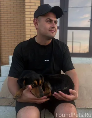 Здравствуйте. Потерялась моя с...