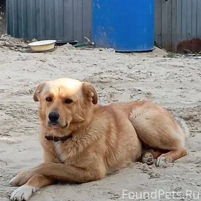 Опубликуйте пожалуйста 🙏 С сон...