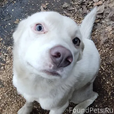 Друзья максимальный репост💯💯💯Д...