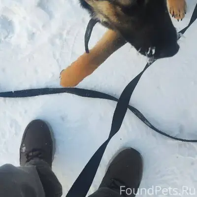 Всем добрый день. По городу бе...