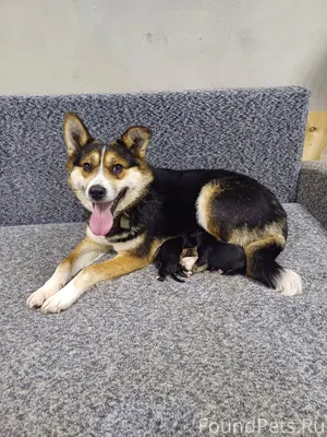 Как говорят,земля круглая... И...