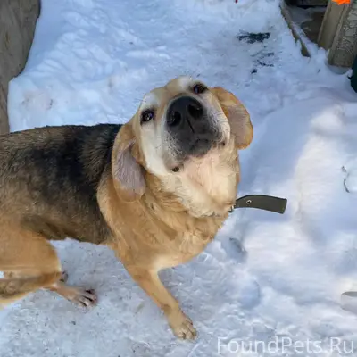 Добрый день! Пожалуйста, опубл...