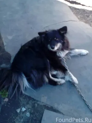 📍ул. Тульская, Ленинский район...