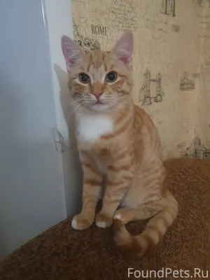 Всем доброго времени суток Пот...