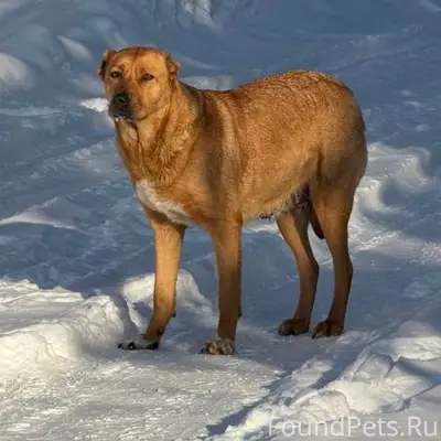 ‼️Иваново и область ‼️ Найдена...