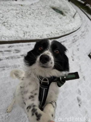 СРОЧНЫЙ ПОИСК три дня не можем...