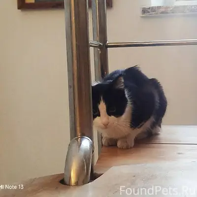 Вчера 3.02.26 в районе...