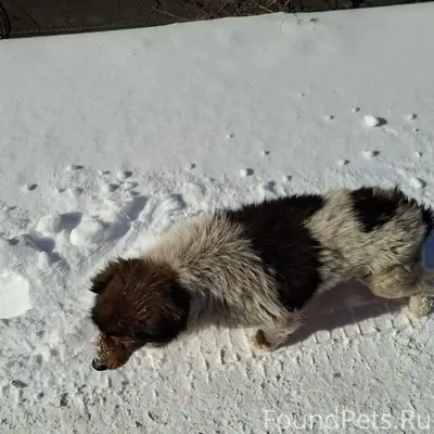 Ростов на Дону.Помогаю информа...