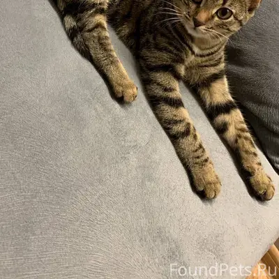 МОЛЬБА О ПОМОЩИ Все таки до...