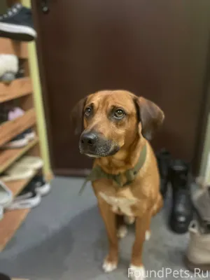 Г. Ростов-на-Дону, Левенцовка....