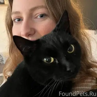 #разговоры_размышлизмы😾😽😹😿😾😽😿😹...